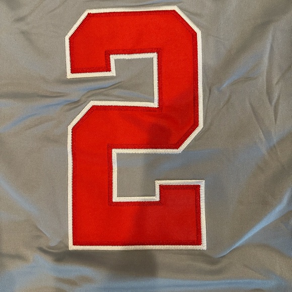 Caleb Downs Ohio State Buckeyes Gray Jersey Men’s Size XL-XXL - Picture 7 of 8